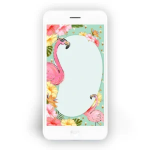 Convite Flamingo T2 Whatsapp - Antes